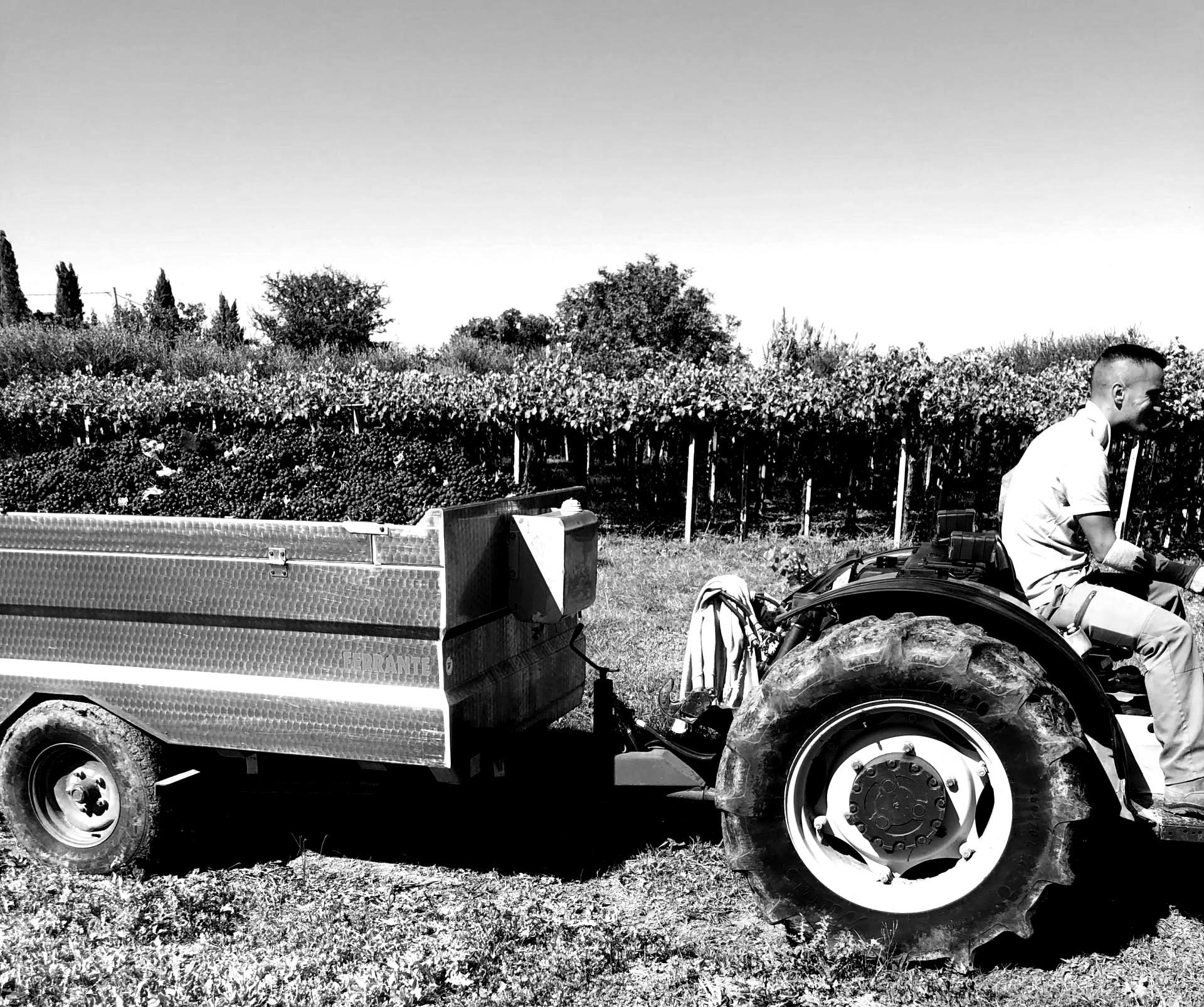 IMG_5836-scaled-blackwhite-e1603138287810